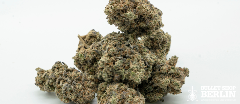 Medizinisches Cannabis online kaufen: Dein Weg zum Rezept - 