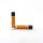 Clipper - Leaves 33 - 4/4