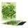 G-Rollz Cali Bags Cheech & Chong Camo 100x125mm 50 Stk.
