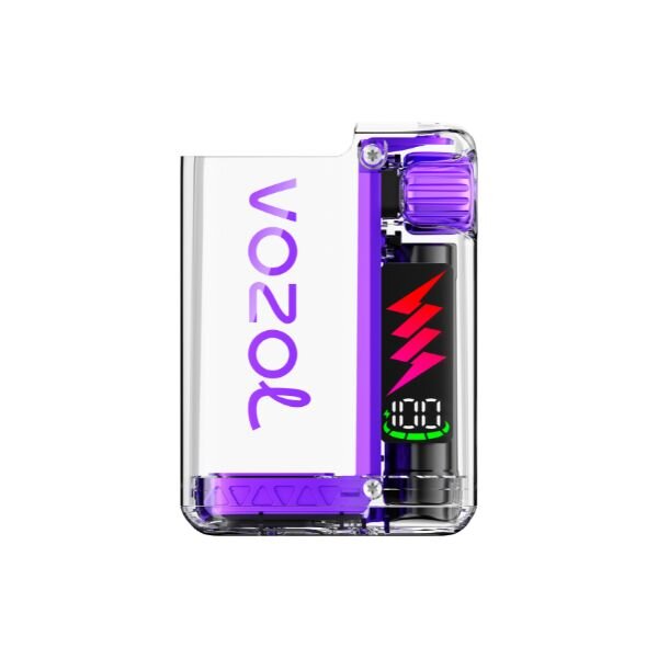 Vozol Vista Plug Gerät Pink Purple