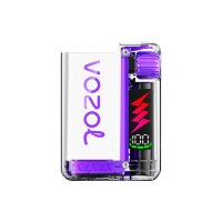 Vozol Vista Plug Gerät Pink Purple