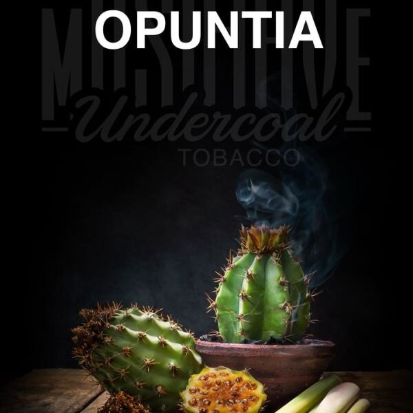 Musthave Opuntia Shisha Tabak 200g